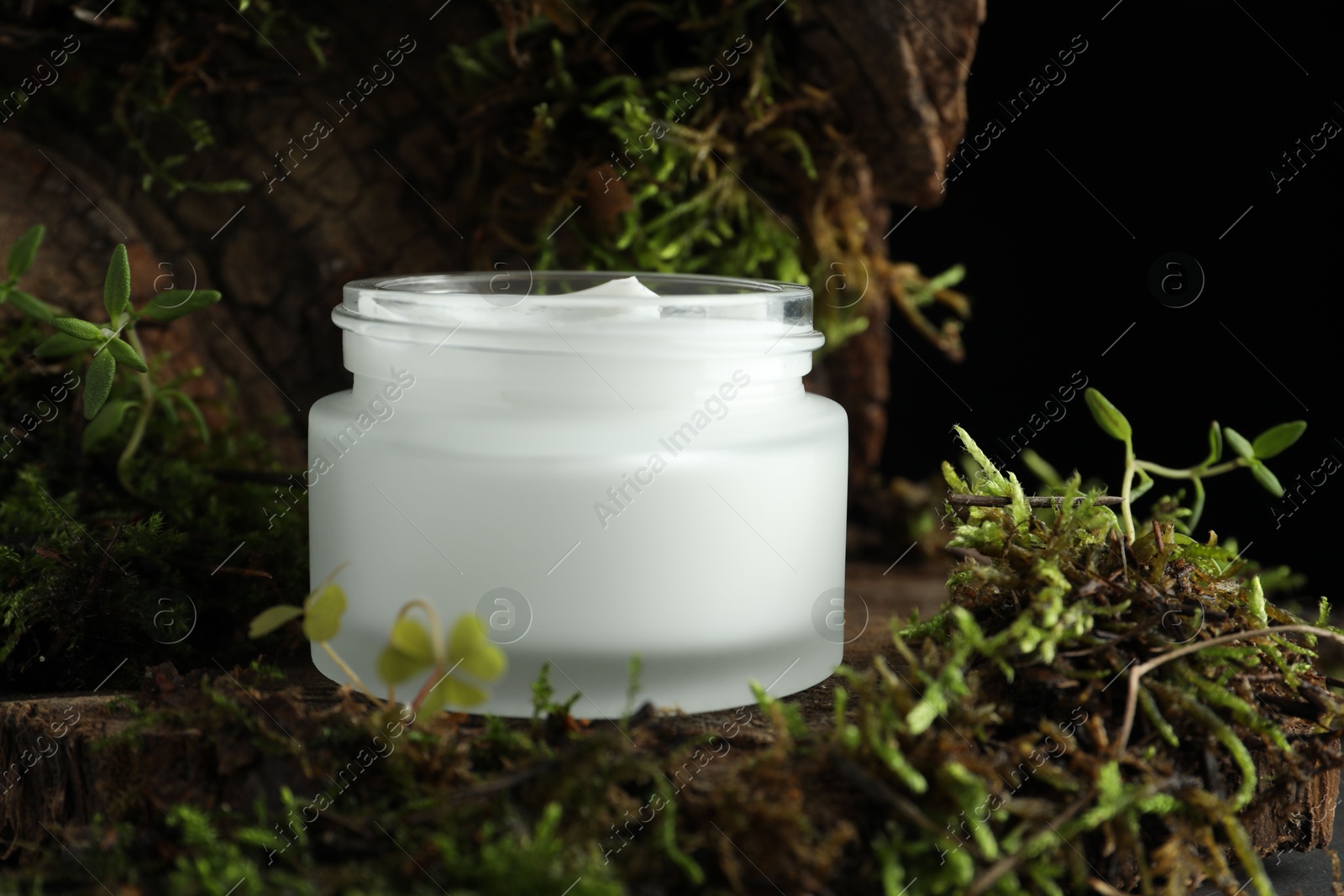 Jar of moisturizing body cream on tree bark with plants, closeup Photo of Jar of moisturizing body cream on tree bark with plants, closeup