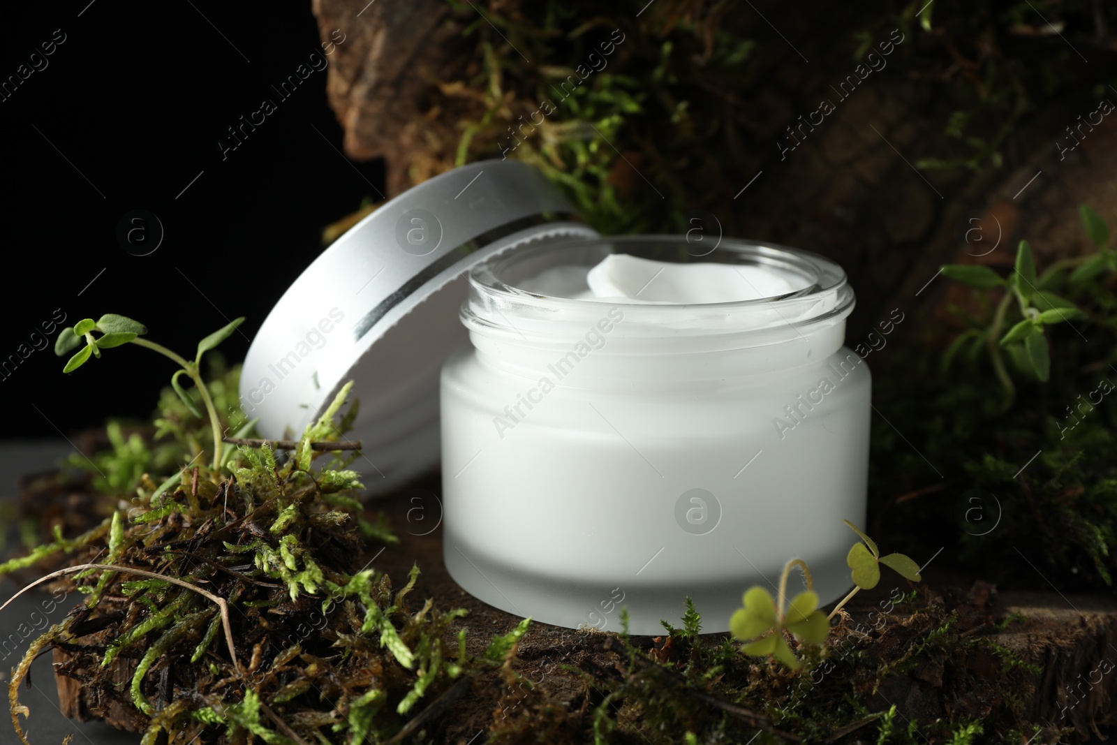 Jar of moisturizing body cream on tree bark with plants, closeup Photo of Jar of moisturizing body cream on tree bark with plants, closeup