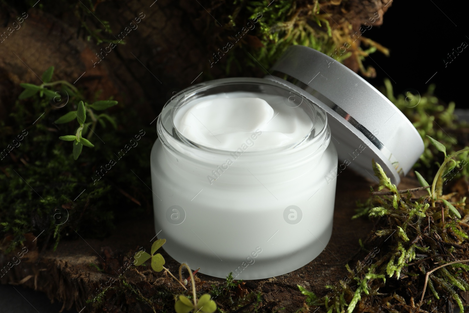 Jar of moisturizing body cream on tree bark with plants, closeup Photo of Jar of moisturizing body cream on tree bark with plants, closeup