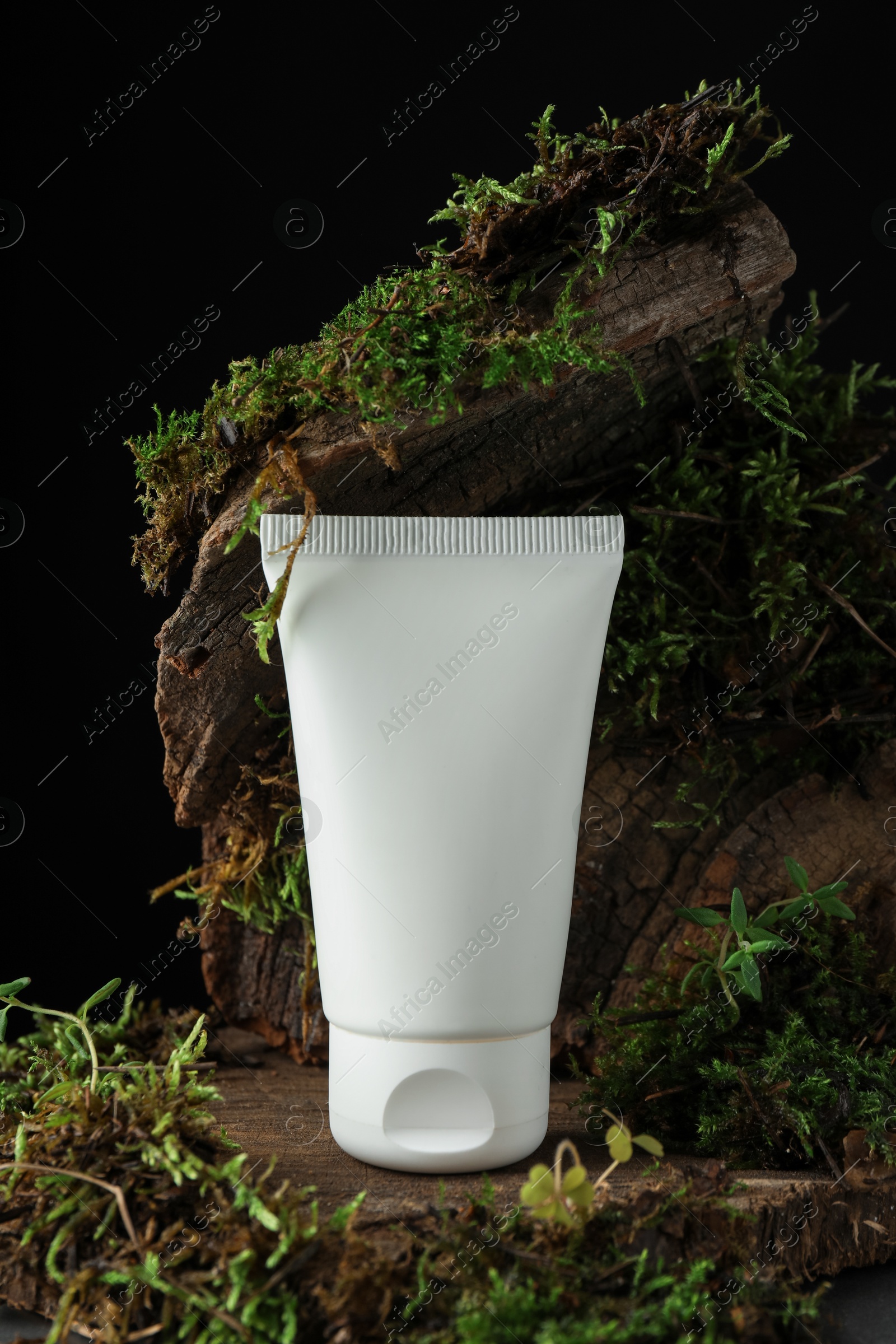 Jar of moisturizing body cream on tree bark with plants, closeup Photo of Jar of moisturizing body cream on tree bark with plants, closeup