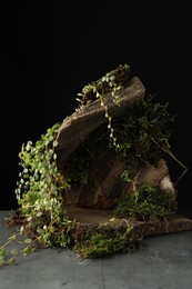 Photo of Tree bark with plants on grey table, closeup. Stylish presentation for product