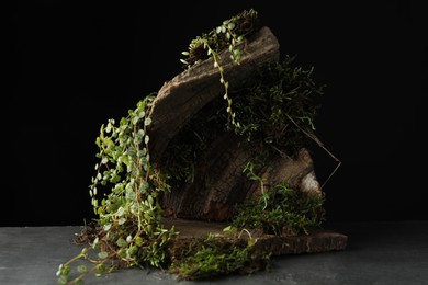 Photo of Tree bark with plants on grey table, closeup. Stylish presentation for product