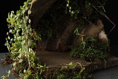 Photo of Tree bark with plants on grey table, closeup. Stylish presentation for product
