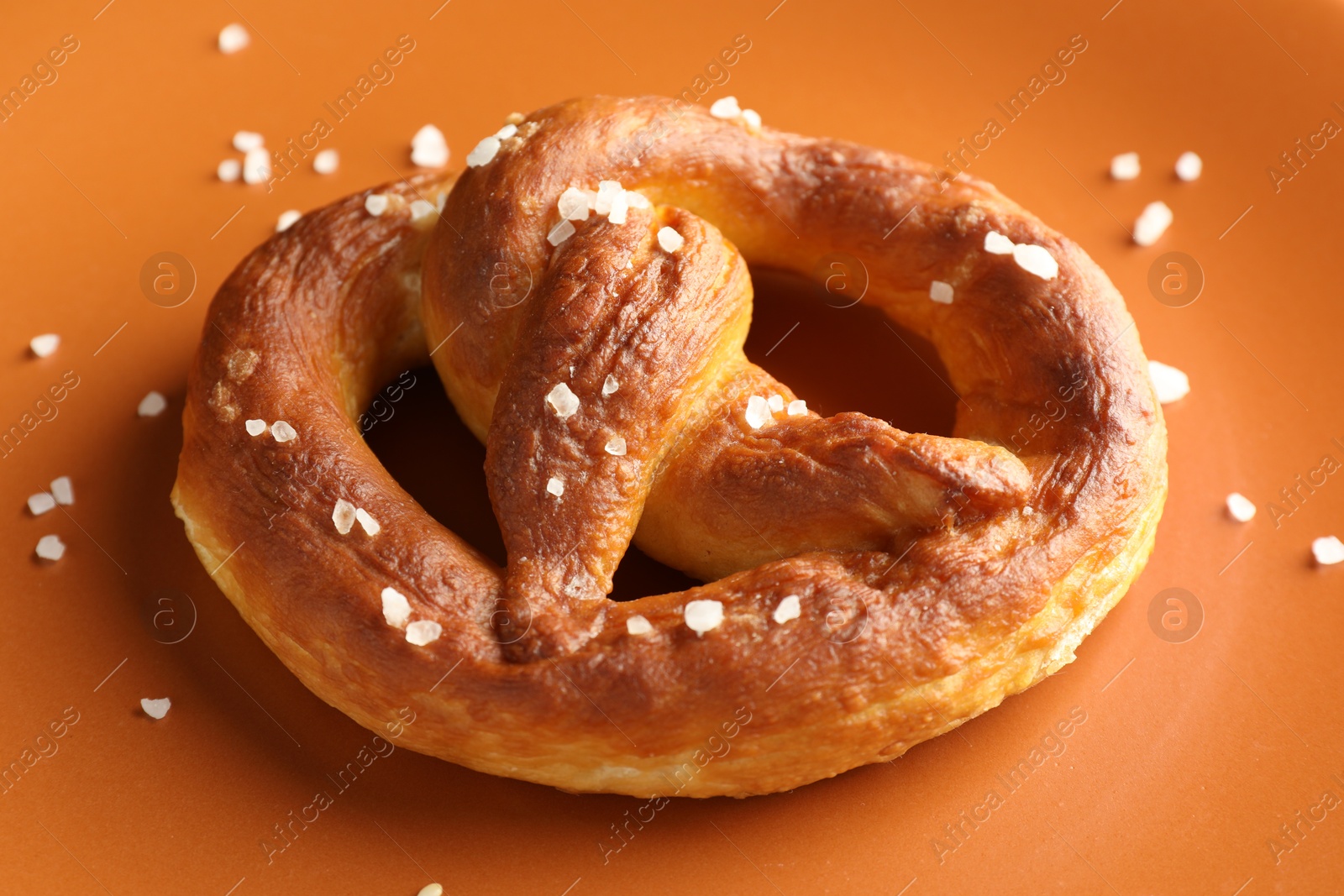 Tasty pretzels with salt on plate, closeup Photo of Tasty pretzels with salt on plate, closeup