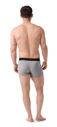Photo of Young man in stylish light grey underwear on white background, back view