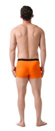 Photo of Young man in stylish orange underwear on white background, back view