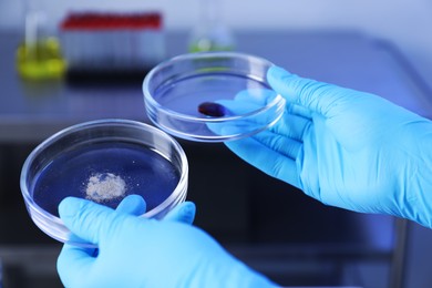Photo of Scientist holding Petri dishes in laboratory, closeup