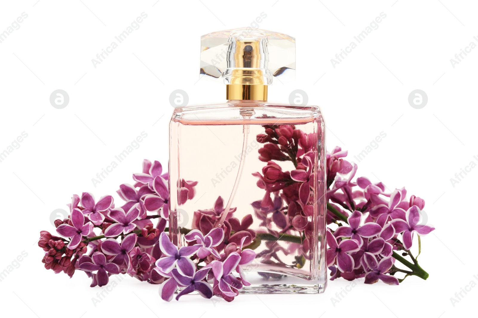 Bottle of luxury perfume and lilac flowers isolated on white Photo of Bottle of luxury perfume and lilac flowers isolated on white