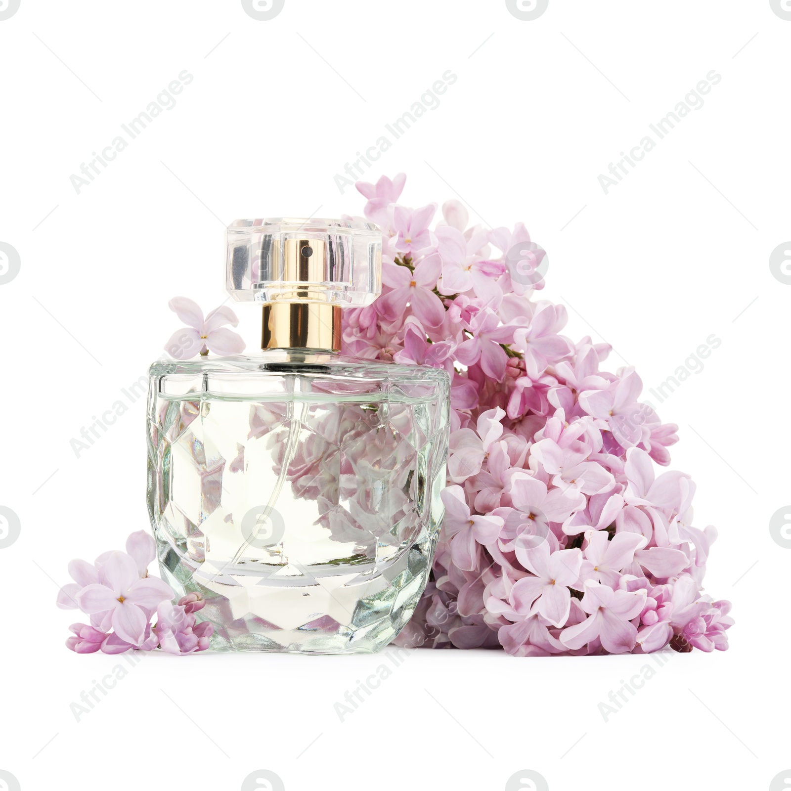Luxury perfume and beautiful lilac flowers isolated on white Photo of Luxury perfume and beautiful lilac flowers isolated on white
