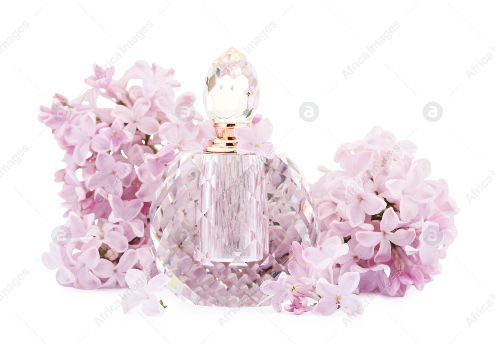 Luxury perfume and beautiful lilac flowers isolated on white Photo of Luxury perfume and beautiful lilac flowers isolated on white