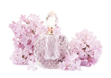 Photo of Luxury perfume and beautiful lilac flowers isolated on white