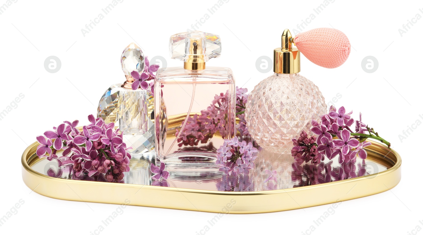 Luxury perfumes and beautiful lilac flowers isolated on white Photo of Luxury perfumes and beautiful lilac flowers isolated on white
