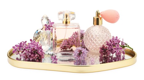 Photo of Luxury perfumes and beautiful lilac flowers isolated on white