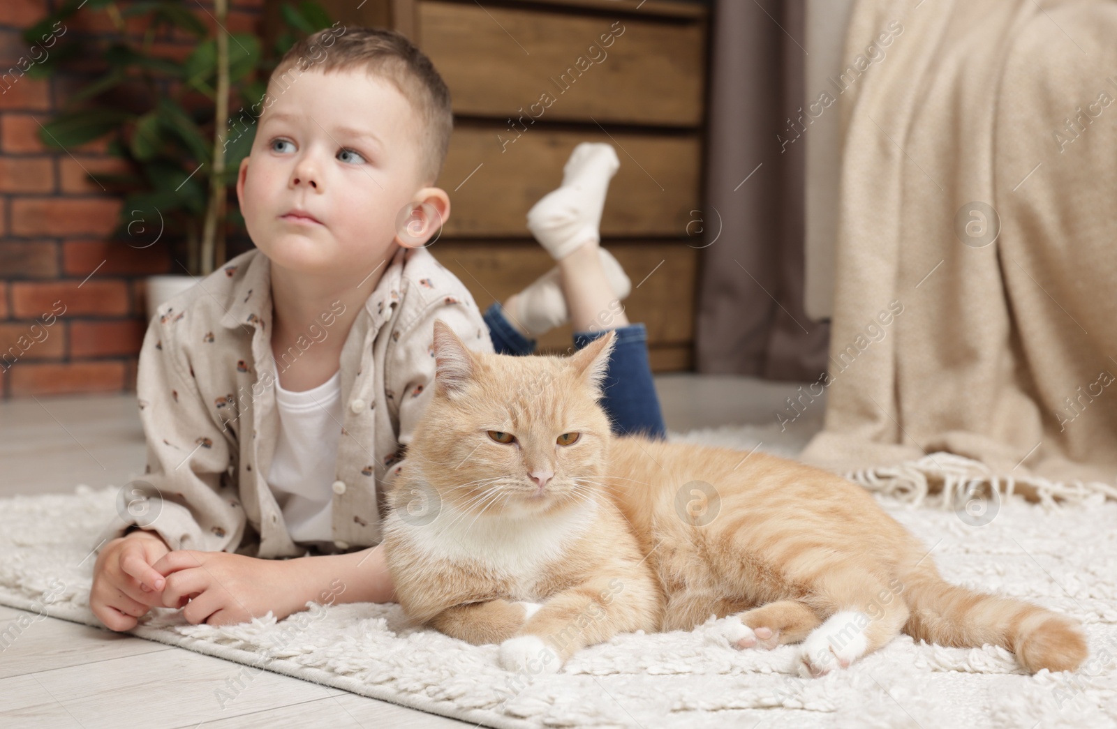Little boy with his cute ginger cat at home Photo of Little boy with his cute ginger cat at home
