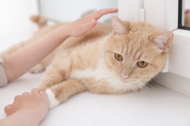 Photo of Woman petting her cute orange cat at home, closeup