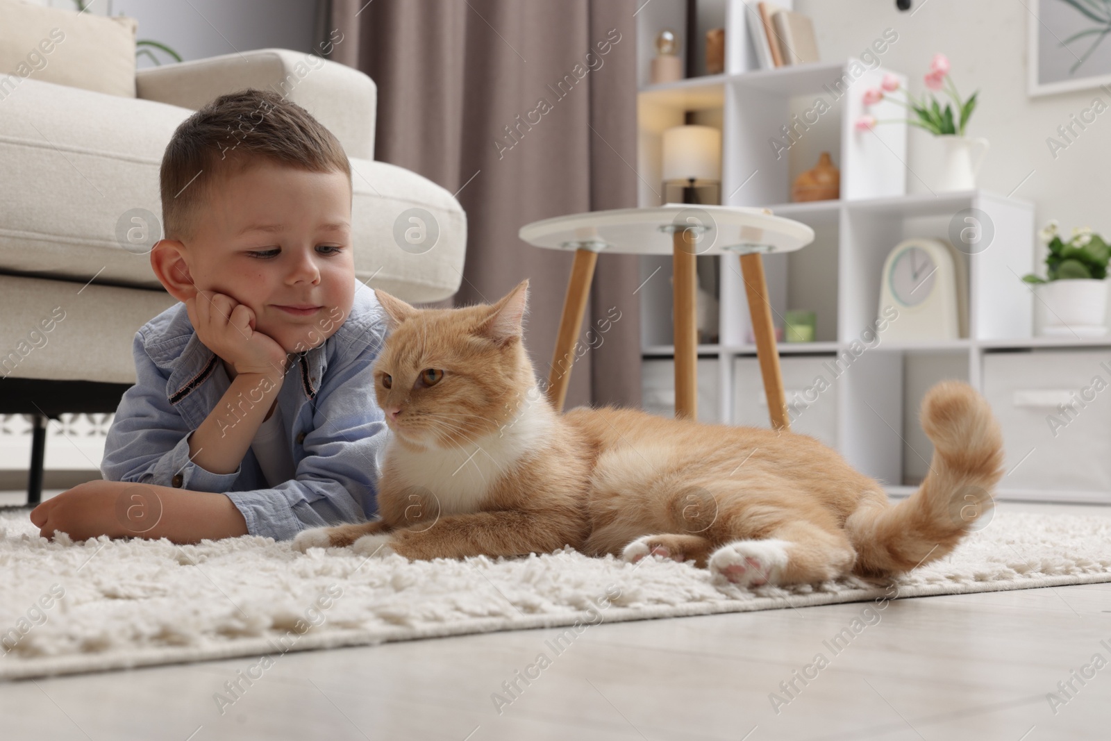 Little boy with his cute ginger cat at home Photo of Little boy with his cute ginger cat at home