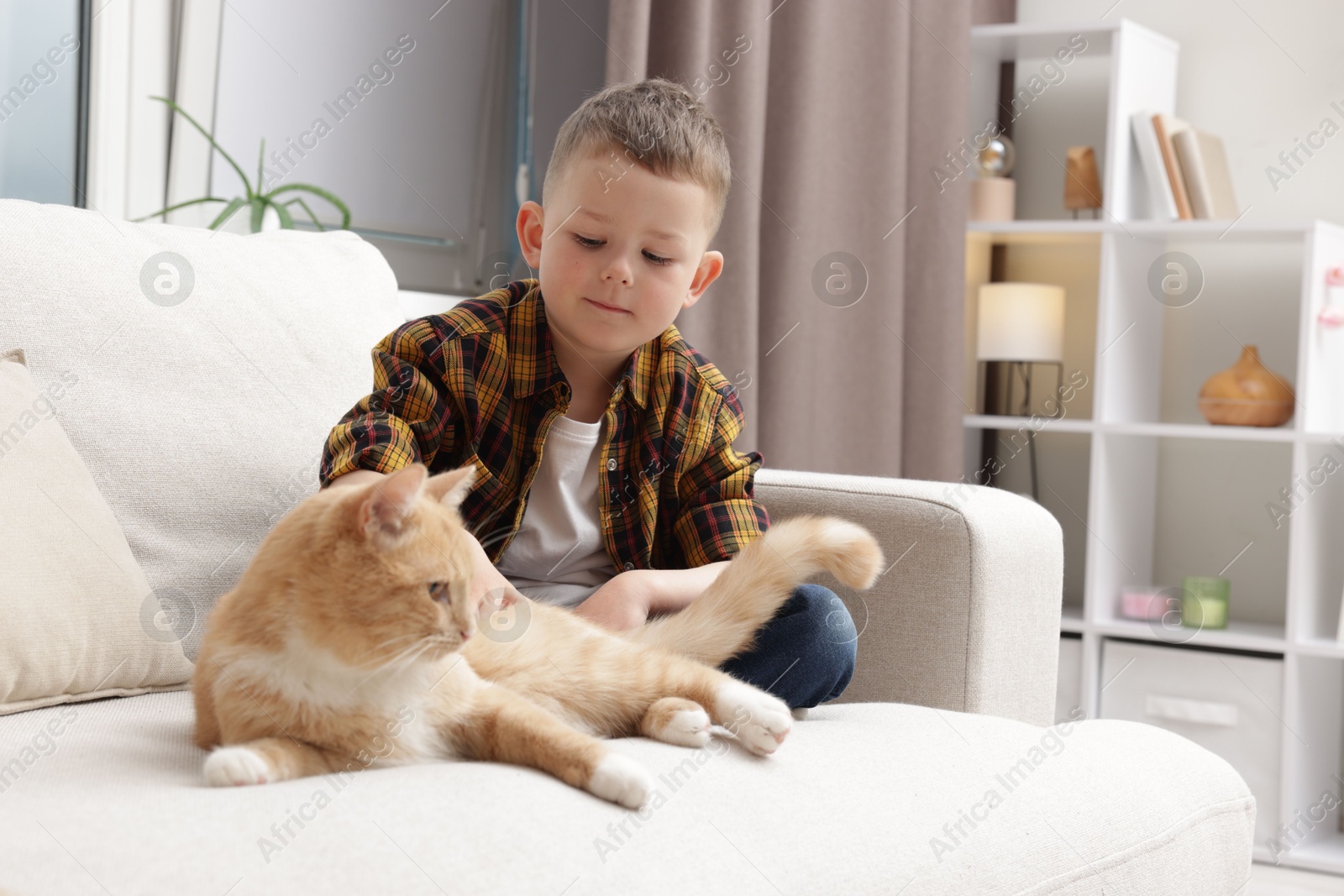 Little boy with his cute ginger cat at home Photo of Little boy with his cute ginger cat at home