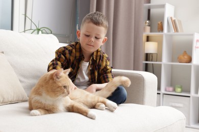 Photo of Little boy with his cute ginger cat at home