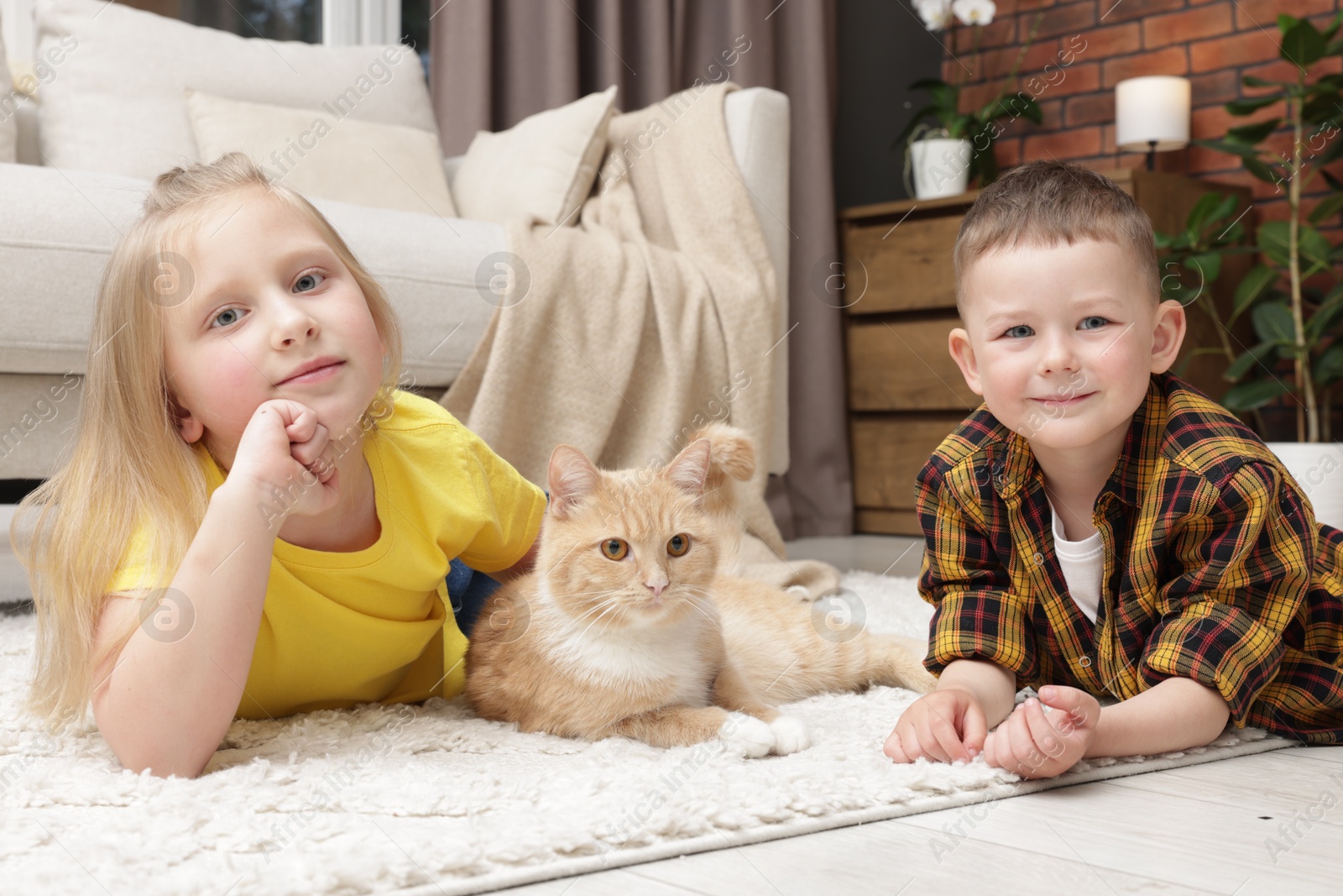 Little kids with their cute ginger cat at home Photo of Little kids with their cute ginger cat at home