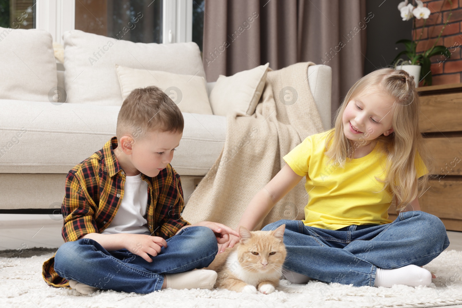 Little kids with their cute ginger cat at home Photo of Little kids with their cute ginger cat at home