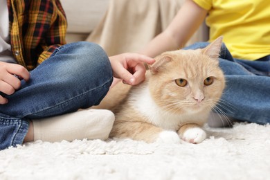 Photo of Little kids with their cute ginger cat at home, closeup