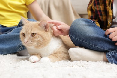 Photo of Little kids with their cute ginger cat at home, closeup