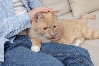 Photo of Little girl with her cute ginger cat at home, closeup
