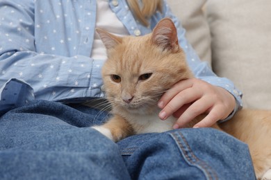 Photo of Little girl with her cute ginger cat at home, closeup