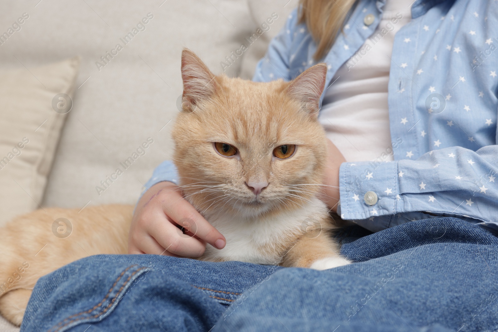 Little girl with her cute ginger cat at home, closeup Photo of Little girl with her cute ginger cat at home, closeup