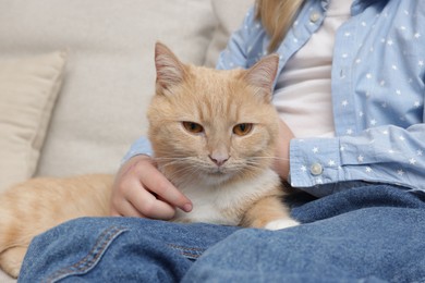 Photo of Little girl with her cute ginger cat at home, closeup