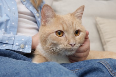 Photo of Little girl with her cute ginger cat at home, closeup