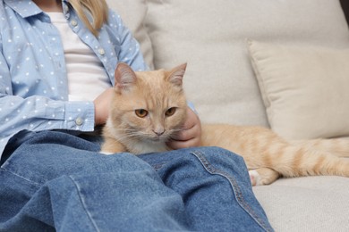 Photo of Little girl with her cute ginger cat at home, closeup