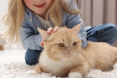 Photo of Little girl with her cute ginger cat at home, closeup