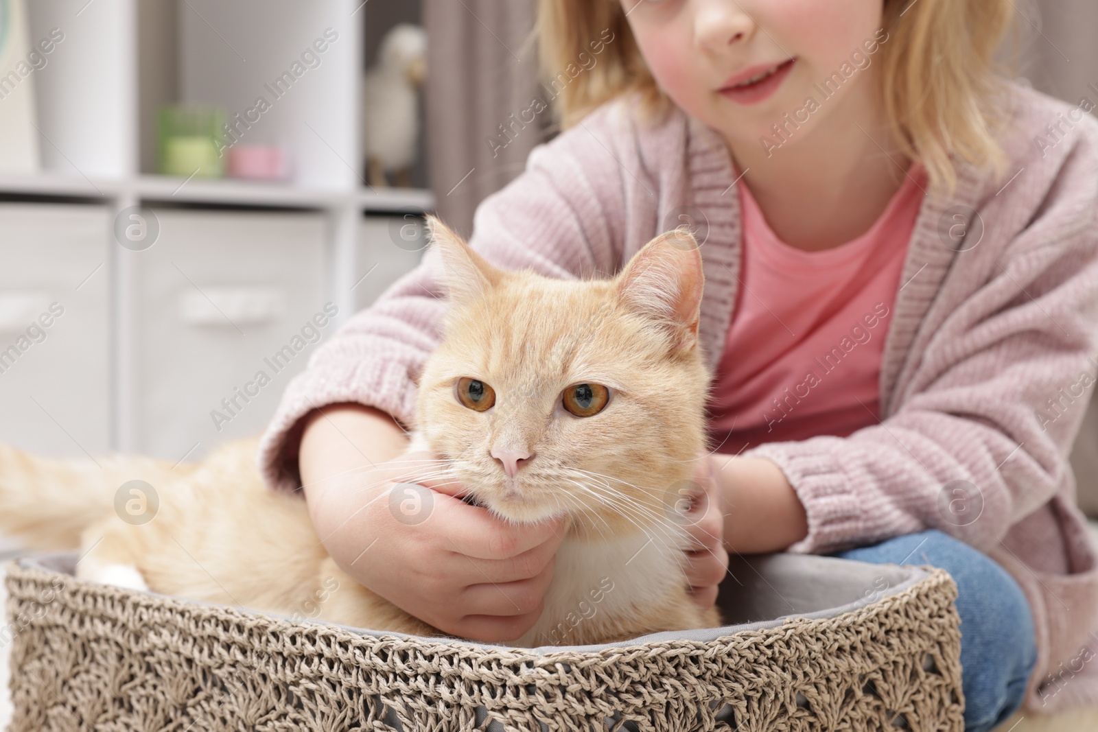 Little girl with her cute ginger cat at home, closeup Photo of Little girl with her cute ginger cat at home, closeup
