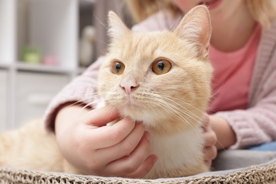 Photo of Little girl with her cute ginger cat at home, closeup