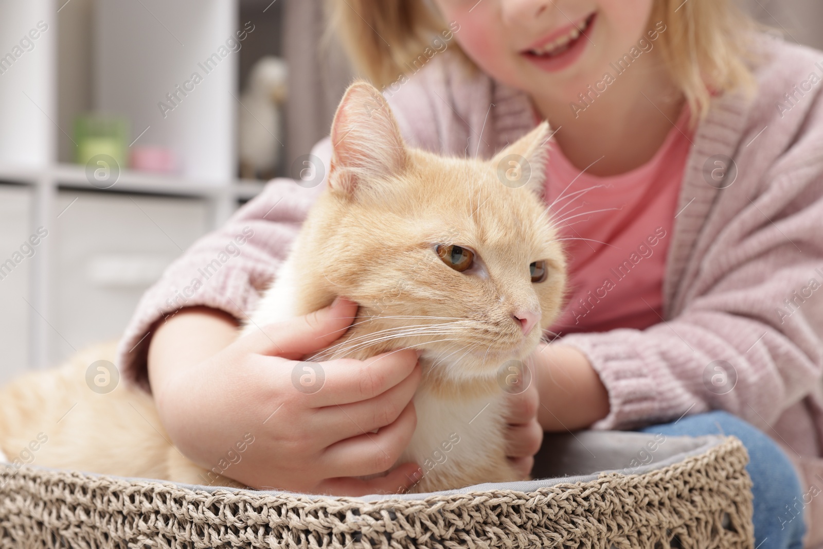 Little girl with her cute ginger cat at home, closeup Photo of Little girl with her cute ginger cat at home, closeup