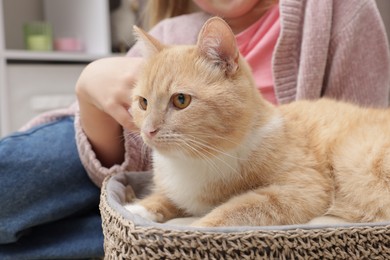 Photo of Little girl with her cute ginger cat at home, closeup