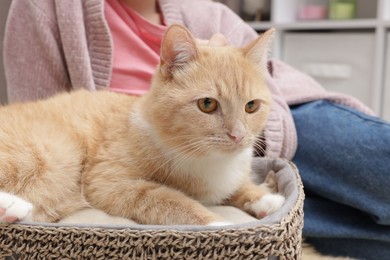 Photo of Little girl with her cute ginger cat at home, closeup