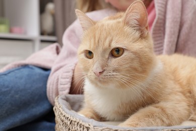 Photo of Little girl with her cute ginger cat at home, closeup