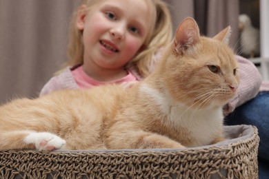 Photo of Little girl with her cute ginger cat at home, selective focus