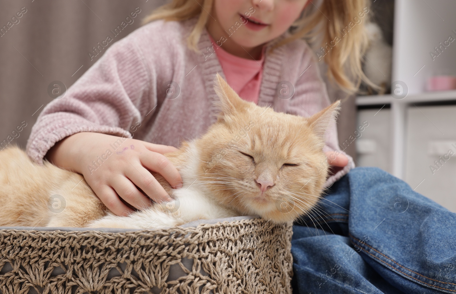 Little girl with her cute ginger cat at home, closeup Photo of Little girl with her cute ginger cat at home, closeup