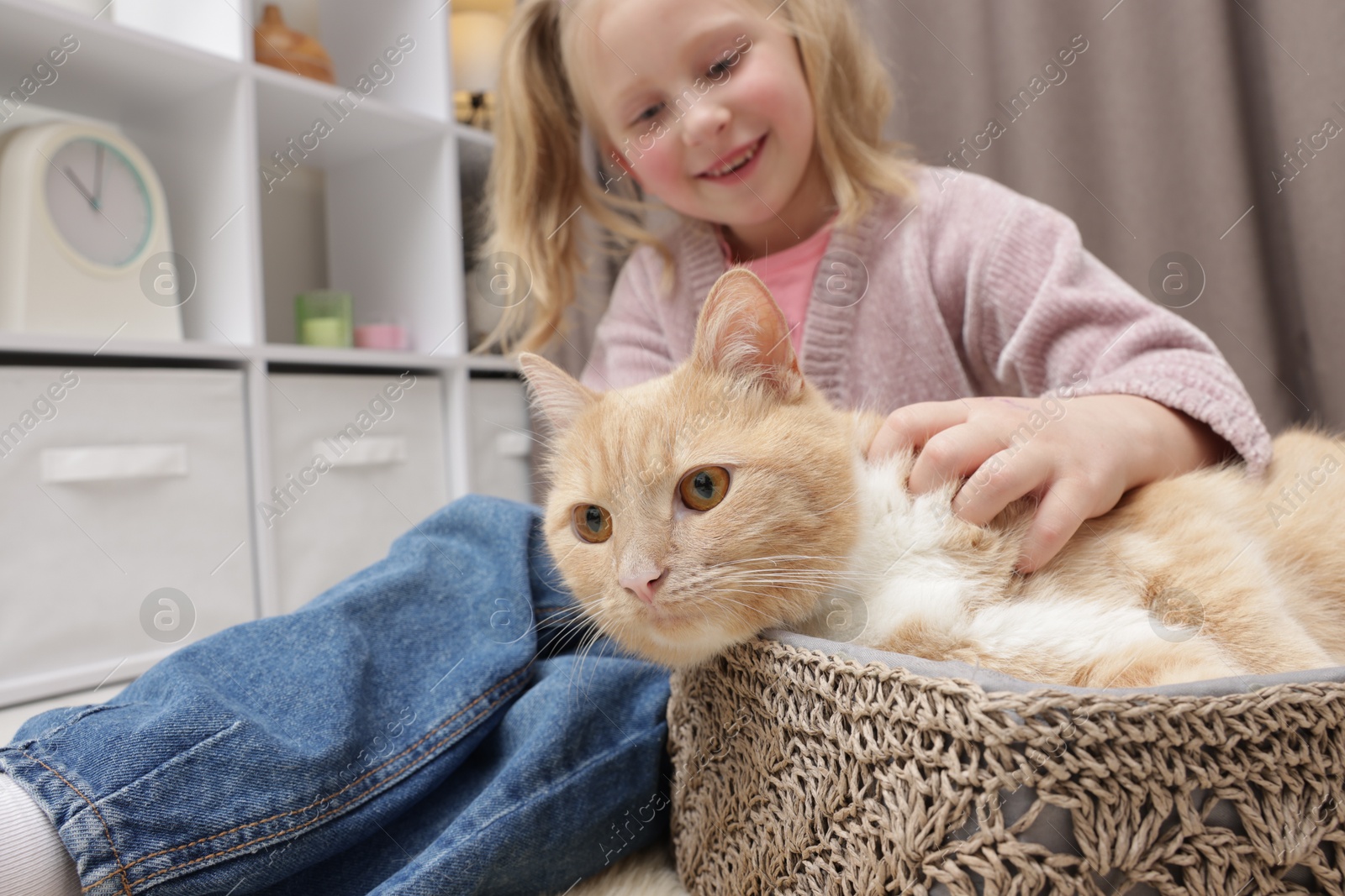 Little girl with her cute ginger cat at home, selective focus Photo of Little girl with her cute ginger cat at home, selective focus