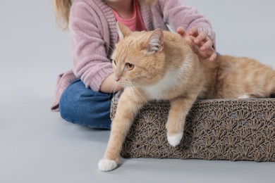 Photo of Little girl with her cute ginger cat on light grey background, closeup