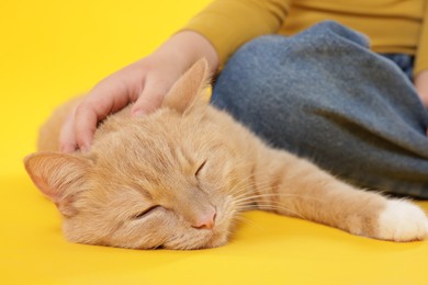 Photo of Little girl with her cute ginger cat on yellow background, closeup