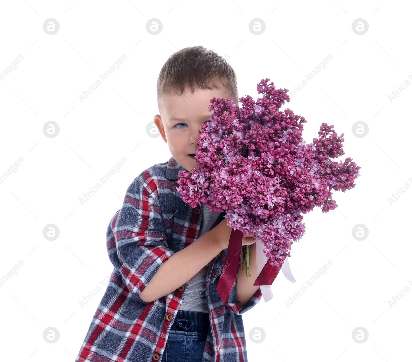 Little boy with bouquet of lilac flowers on white background Photo of Little boy with bouquet of lilac flowers on white background