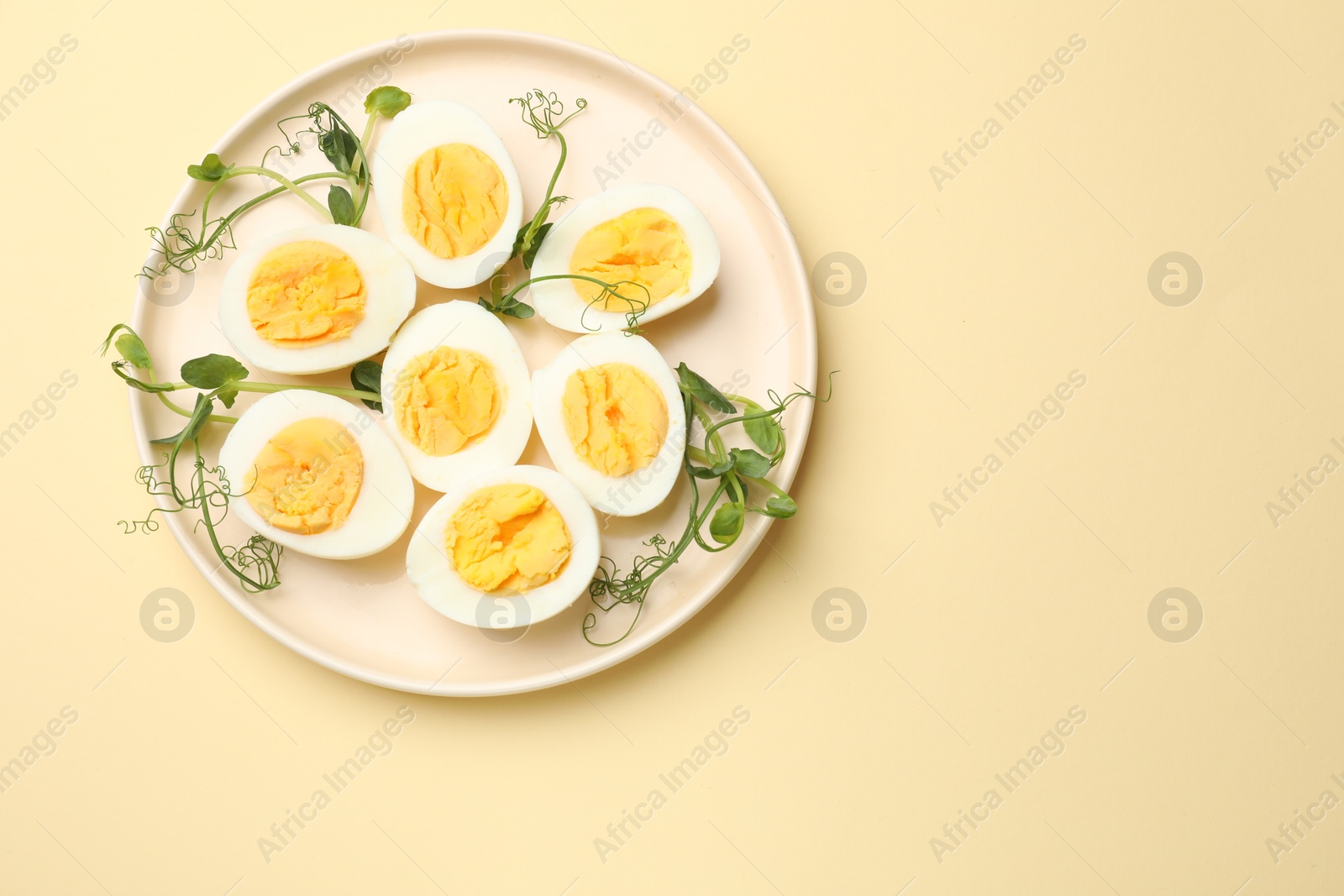 Boiled eggs and microgreens on beige background, top view. Space for text Photo of Boiled eggs and microgreens on beige background, top view. Space for text