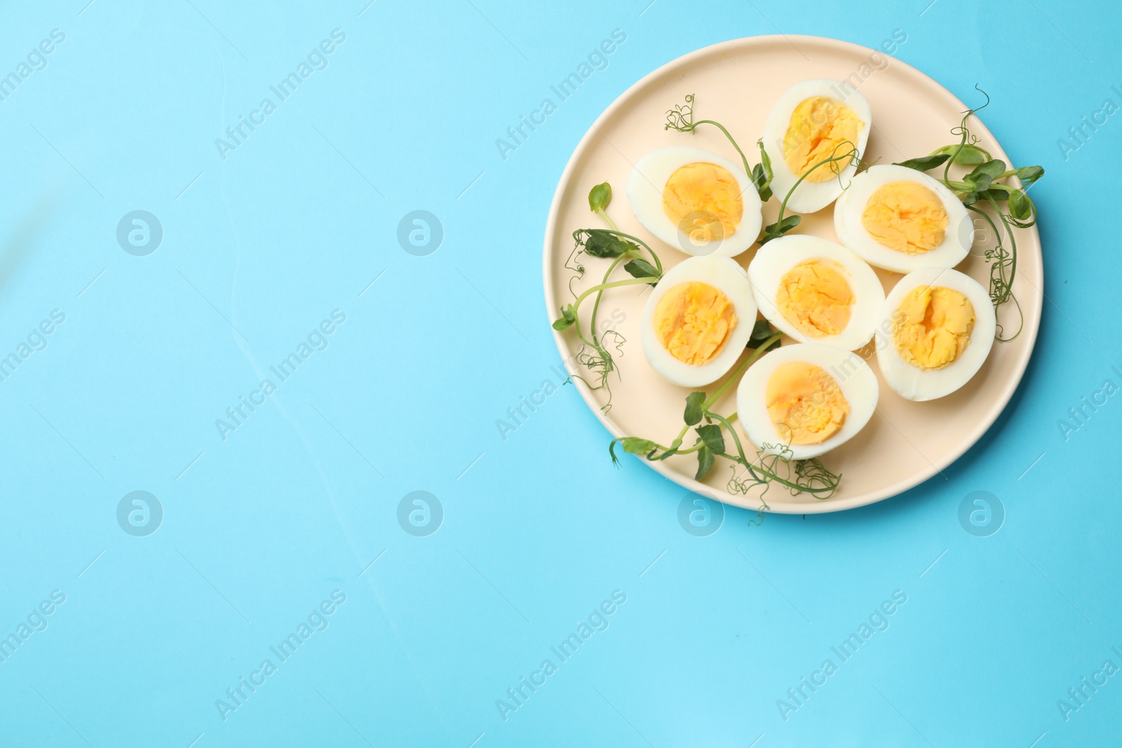 Boiled eggs and microgreens on light blue background, top view. Space for text Photo of Boiled eggs and microgreens on light blue background, top view. Space for text