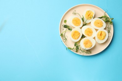 Photo of Boiled eggs and microgreens on light blue background, top view. Space for text