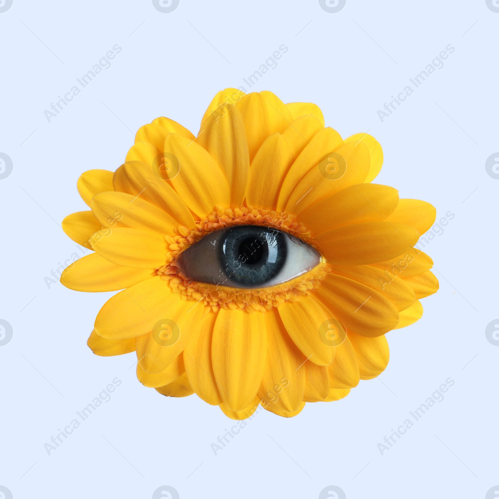 Bright flower with eye inside on white background. Creative collage Image of Bright flower with eye inside on white background. Creative collage