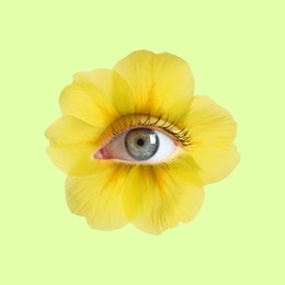 Image of Yellow flower with eye inside on light green background. Creative collage
